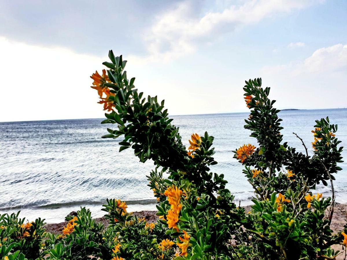 Beautiful Brand New Apartment Seaside Athens Ngoại thất bức ảnh